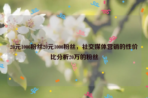 20元1000粉丝20元1000粉丝，社交媒体营销的性价比分析20万的粉丝