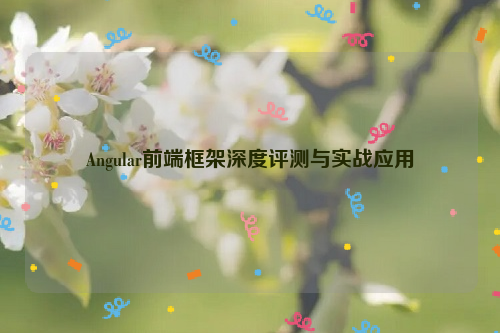 Angular前端框架深度评测与实战应用