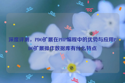 深度评测，PDO扩展在PHP编程中的优势与应用PDO扩展操作数据库有什么特点