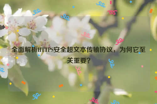 全面解析HTTPS安全超文本传输协议，为何它至关重要？