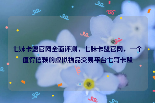 七妹卡盟官网全面评测，七妹卡盟官网，一个值得信赖的虚拟物品交易平台七哥卡盟