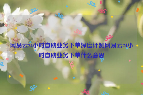 网易云24小时自助业务下单深度评测网易云24小时自助业务下单什么意思