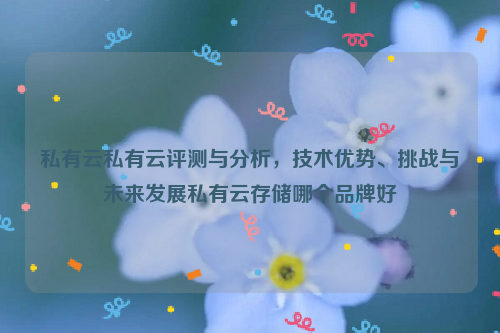 私有云私有云评测与分析，技术优势、挑战与未来发展私有云存储哪个品牌好