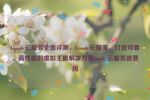 Linode云服务全面评测，Linode云服务，打造可靠、高性能的虚拟主机解决方案linode云服务器费用