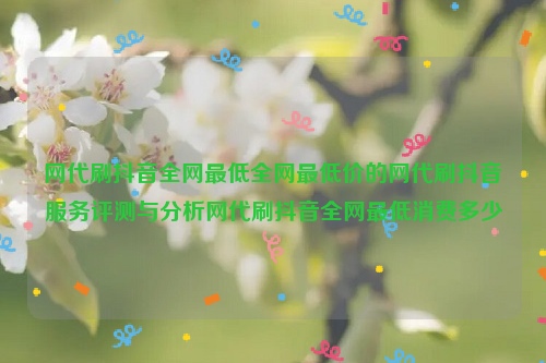 网代刷抖音全网最低全网最低价的网代刷抖音服务评测与分析网代刷抖音全网最低消费多少