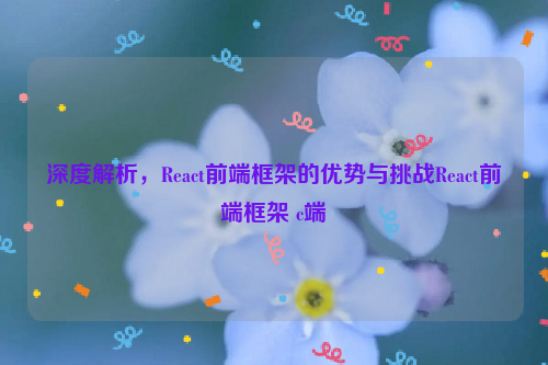 深度解析，React前端框架的优势与挑战React前端框架 c端