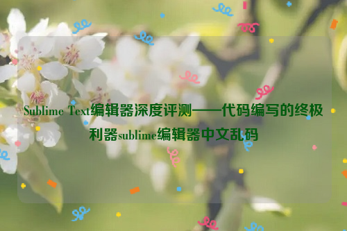 Sublime Text编辑器深度评测——代码编写的终极利器sublime编辑器中文乱码