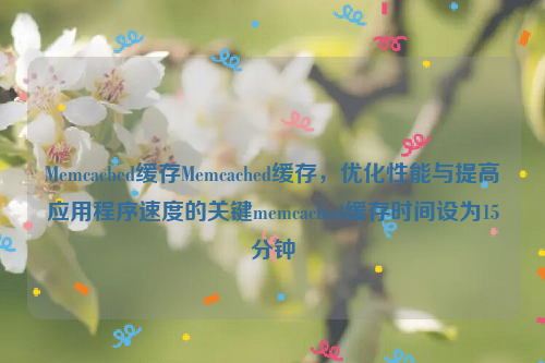 Memcached缓存Memcached缓存，优化性能与提高应用程序速度的关键memcached缓存时间设为15分钟