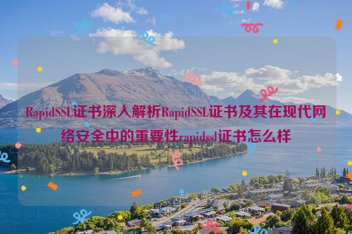 RapidSSL证书深入解析RapidSSL证书及其在现代网络安全中的重要性rapidssl证书怎么样