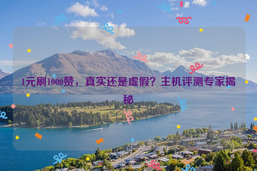 1元刷1000赞，真实还是虚假？主机评测专家揭秘