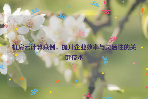 机房云计算案例，提升企业效率与灵活性的关键技术