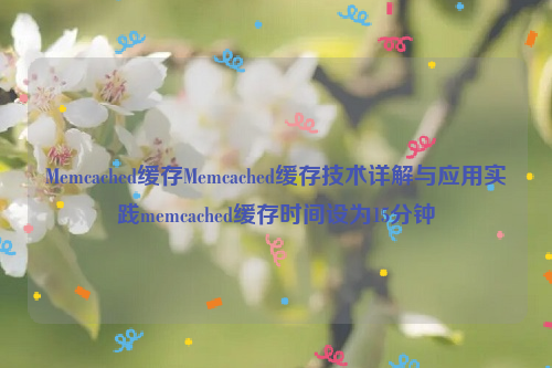 Memcached缓存Memcached缓存技术详解与应用实践memcached缓存时间设为15分钟