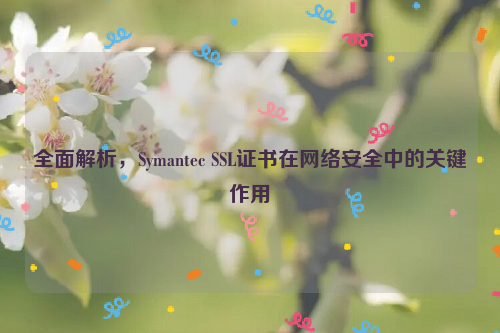 全面解析，Symantec SSL证书在网络安全中的关键作用