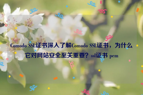 Comodo SSL证书深入了解Comodo SSL证书，为什么它对网站安全至关重要？ssl证书 pem