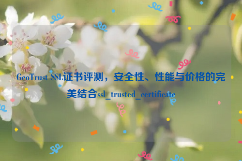 GeoTrust SSL证书评测，安全性、性能与价格的完美结合ssl_trusted_certificate