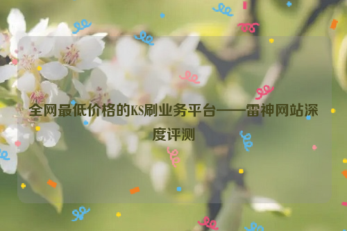 全网最低价格的KS刷业务平台——雷神网站深度评测