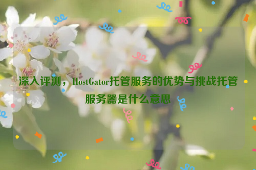 深入评测，HostGator托管服务的优势与挑战托管服务器是什么意思