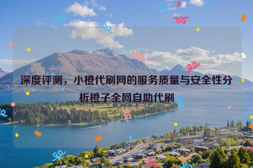 深度评测，小橙代刷网的服务质量与安全性分析橙子全网自助代刷