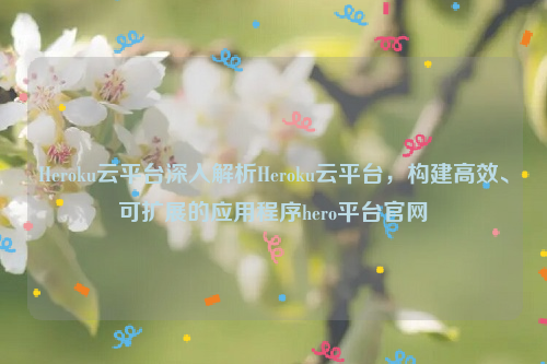 Heroku云平台深入解析Heroku云平台，构建高效、可扩展的应用程序hero平台官网