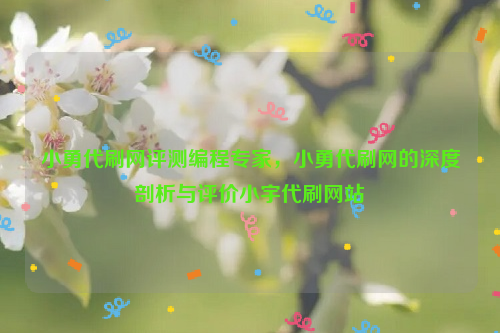 小勇代刷网评测编程专家，小勇代刷网的深度剖析与评价小宇代刷网站