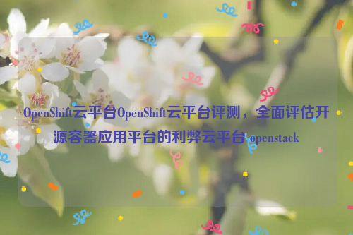 OpenShift云平台OpenShift云平台评测，全面评估开源容器应用平台的利弊云平台 openstack