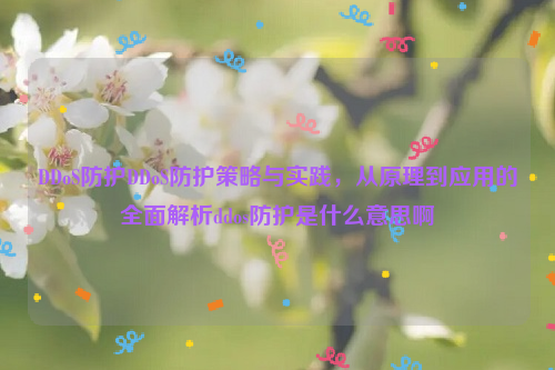 DDoS防护DDoS防护策略与实践，从原理到应用的全面解析ddos防护是什么意思啊