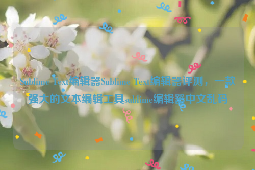 Sublime Text编辑器Sublime Text编辑器评测，一款强大的文本编辑工具sublime编辑器中文乱码