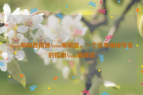 Atom编辑器精通Atom编辑器，一个优秀编程专家的指南Atom编辑器