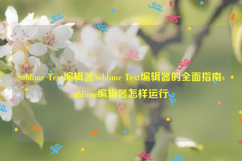 Sublime Text编辑器Sublime Text编辑器的全面指南sublime编辑器怎样运行