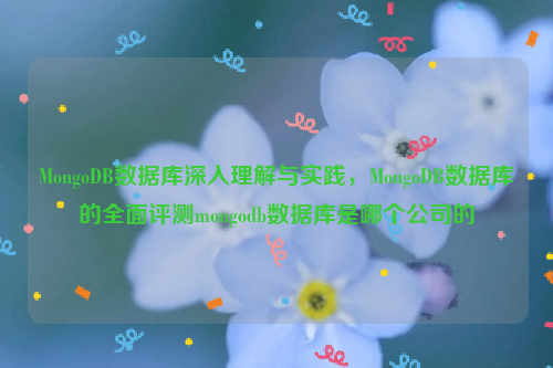 MongoDB数据库深入理解与实践，MongoDB数据库的全面评测mongodb数据库是哪个公司的