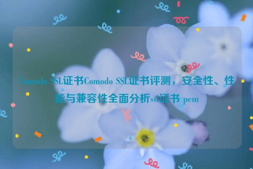 Comodo SSL证书Comodo SSL证书评测，安全性、性能与兼容性全面分析ssl证书 pem