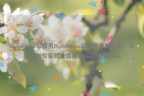 DigitalOcean云服务DigitalOcean云服务评测指南，从新手到专家的全面指南cloud.digitalocean