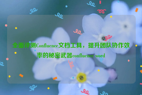 全面评测Confluence文档工具，提升团队协作效率的秘密武器confluence word