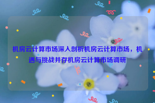 机房云计算市场深入剖析机房云计算市场，机遇与挑战并存机房云计算市场调研