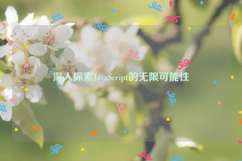 深入探索JavaScript的无限可能性