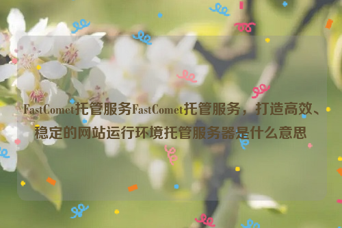 FastComet托管服务FastComet托管服务，打造高效、稳定的网站运行环境托管服务器是什么意思