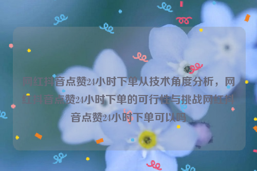 网红抖音点赞24小时下单从技术角度分析，网红抖音点赞24小时下单的可行性与挑战网红抖音点赞24小时下单可以吗