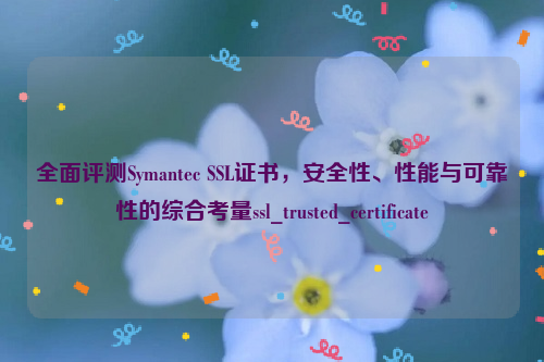 全面评测Symantec SSL证书，安全性、性能与可靠性的综合考量ssl_trusted_certificate