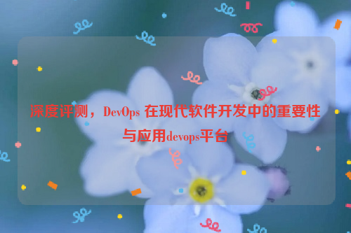 深度评测，DevOps 在现代软件开发中的重要性与应用devops平台