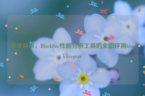 深度剖析，Blackfire性能分析工具的全面评测blackfiregear