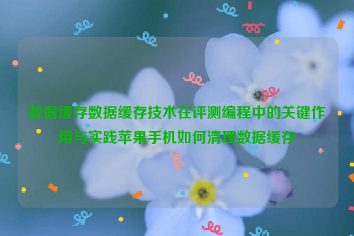 数据缓存数据缓存技术在评测编程中的关键作用与实践苹果手机如何清理数据缓存