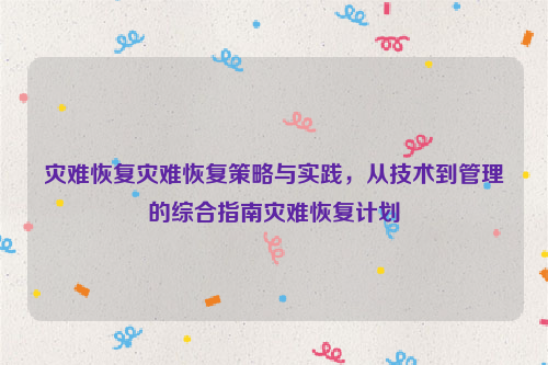 灾难恢复灾难恢复策略与实践，从技术到管理的综合指南灾难恢复计划