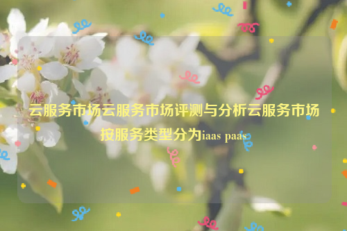 云服务市场云服务市场评测与分析云服务市场按服务类型分为iaas paas