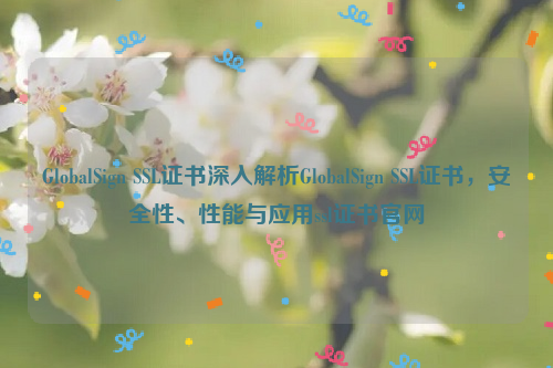 GlobalSign SSL证书深入解析GlobalSign SSL证书，安全性、性能与应用ssl证书官网