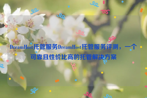 DreamHost托管服务DreamHost托管服务评测，一个可靠且性价比高的托管解决方案