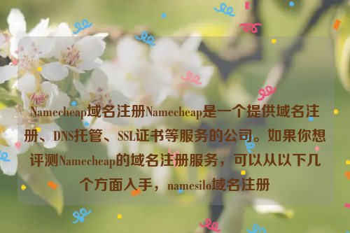 Namecheap域名注册Namecheap是一个提供域名注册、DNS托管、SSL证书等服务的公司。如果你想评测Namecheap的域名注册服务，可以从以下几个方面入手，namesilo域名注册