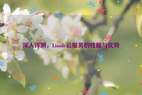 深入评测，Linode云服务的性能与优势