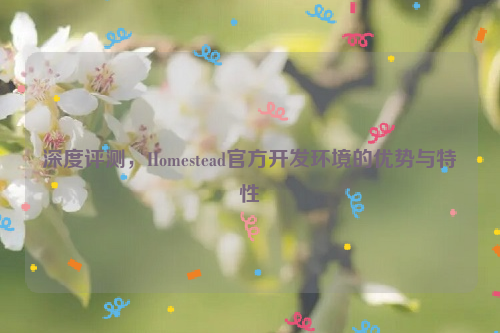 深度评测，Homestead官方开发环境的优势与特性