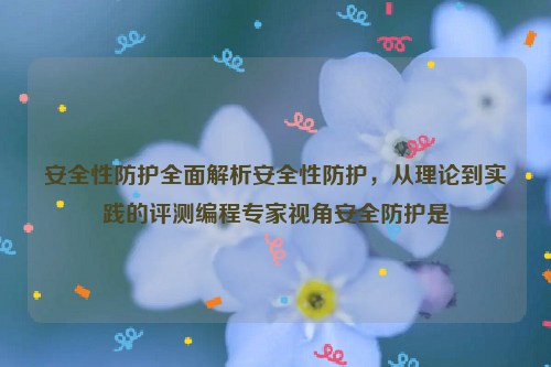 安全性防护全面解析安全性防护，从理论到实践的评测编程专家视角安全防护是