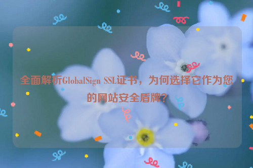 全面解析GlobalSign SSL证书，为何选择它作为您的网站安全盾牌？